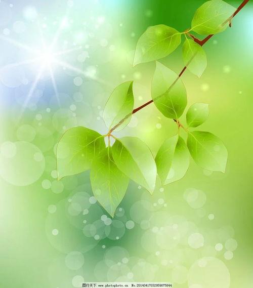 娱乐吃瓜爆料背景图片素材,吃瓜群众背后的故事